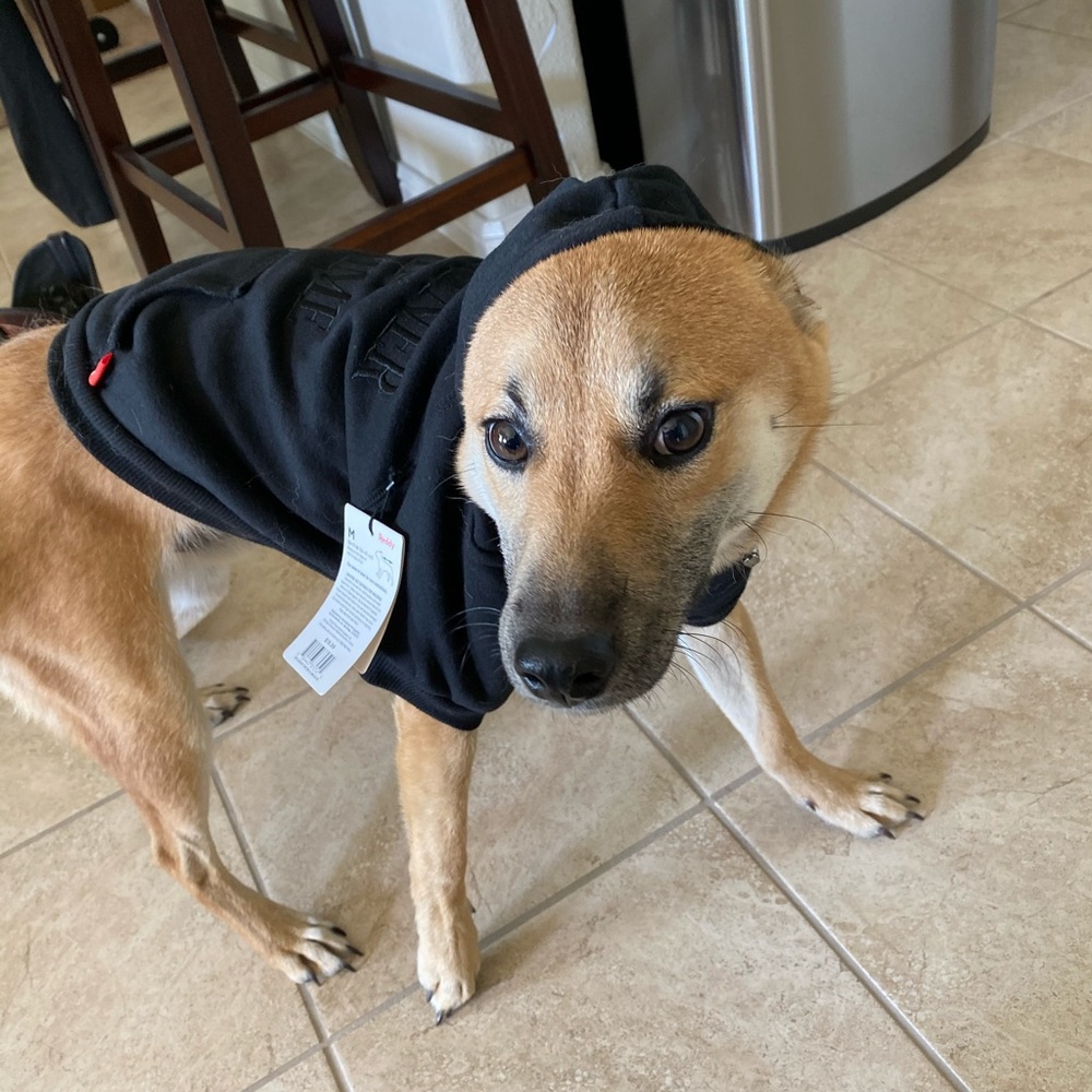 Meet your Posher, Jorge